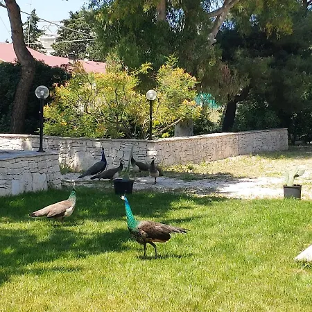 Costanza Casa de Férias *