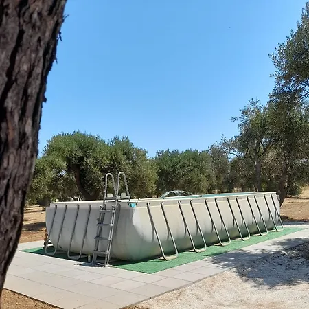 Costanza בארי