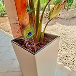 Costanza Сasa de vacaciones
