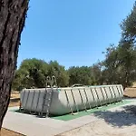 Costanza Bari
