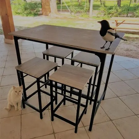 Дом отдыха Costanza