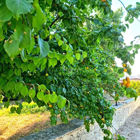 Costanza Дом отдыха