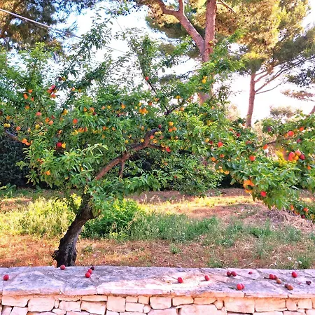 Costanza Дом отдыха