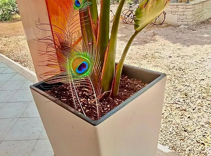 Costanza Vakantiehuis