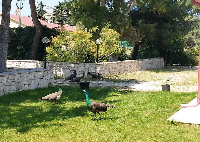 Costanza Case de vacanță *