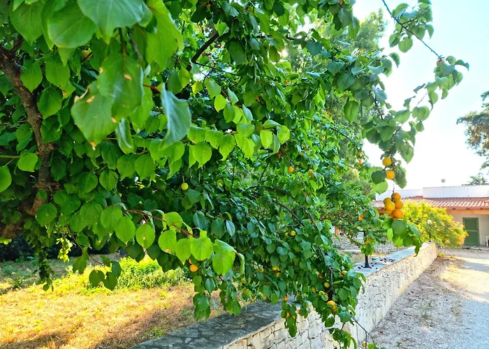 Costanza Case de vacanță